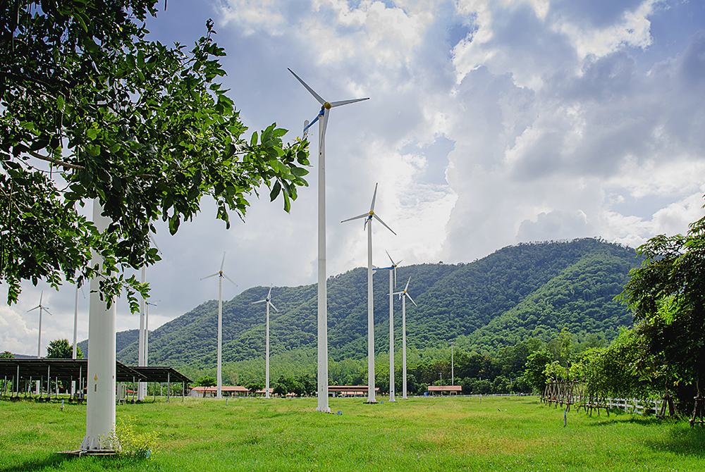 windmills